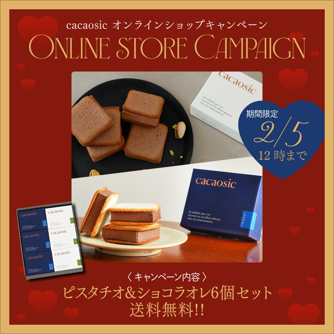 1月23日～2月5日】バレンタイン限定カカオシック6個セット送料無料