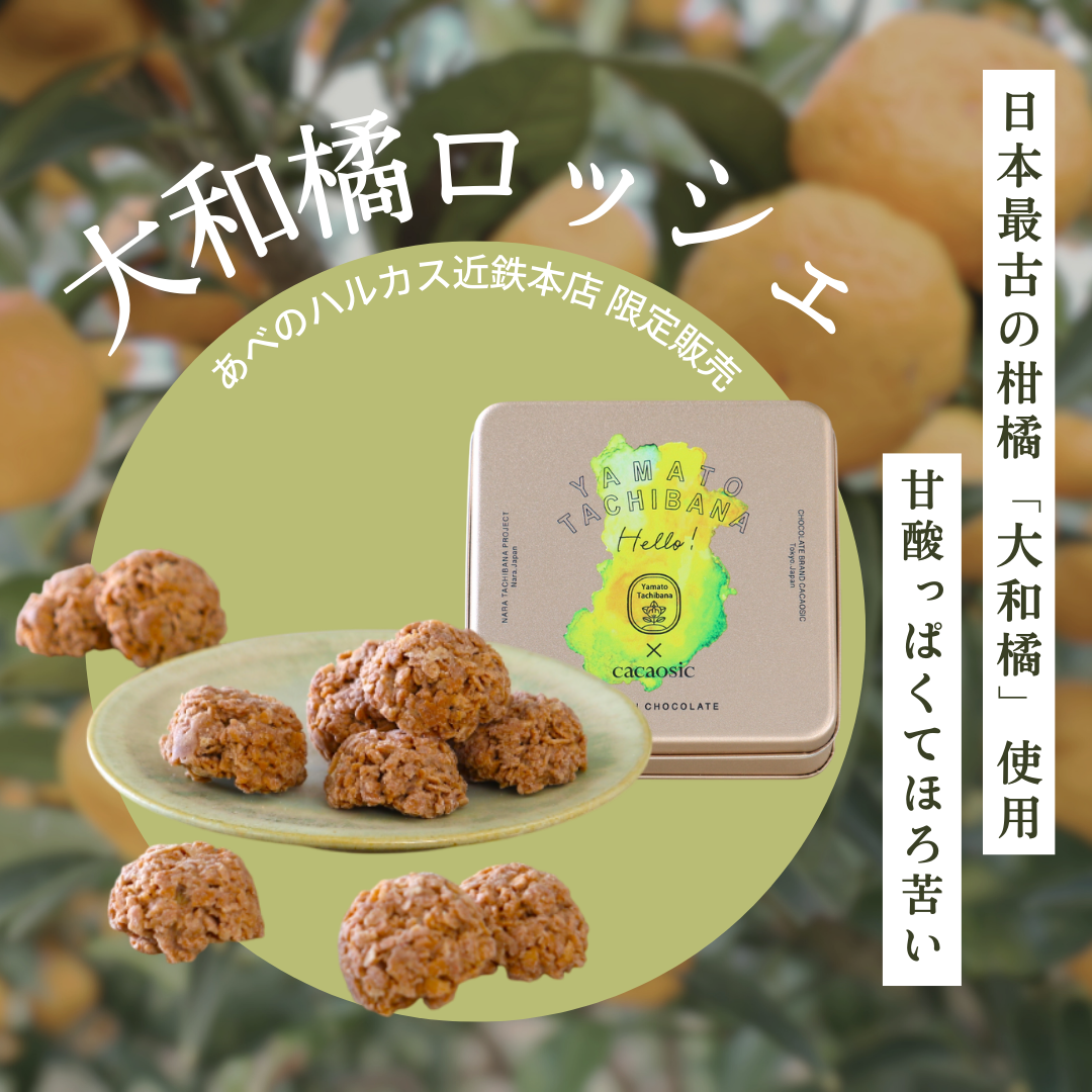 なら橘プロジェクト×cacaosicのコラボ商品「大和橘ロッシェ」があべの