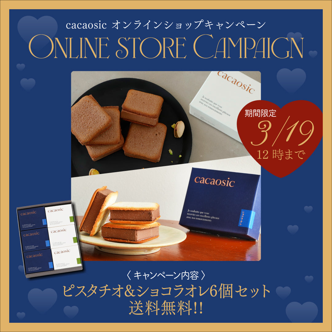 【2月27日～3月19日】ホワイトデー限定カカオシック6個セット送料無料キャンペーン！