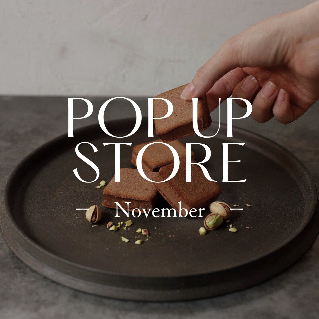 【最新】11月の出店情報をお届け！