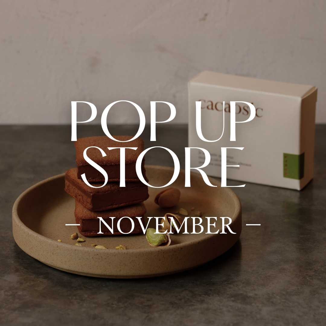 【最新】11月の出店情報をお届け！